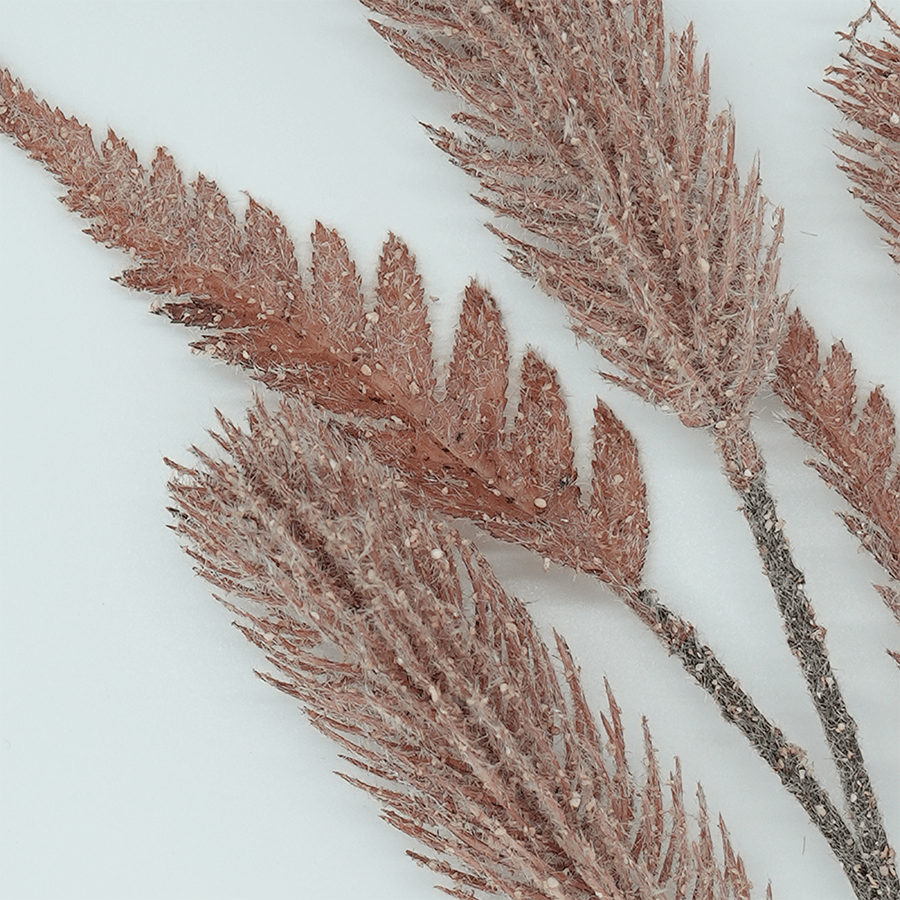 Foxtail Grass Foxtail Grass Mandaue Foam