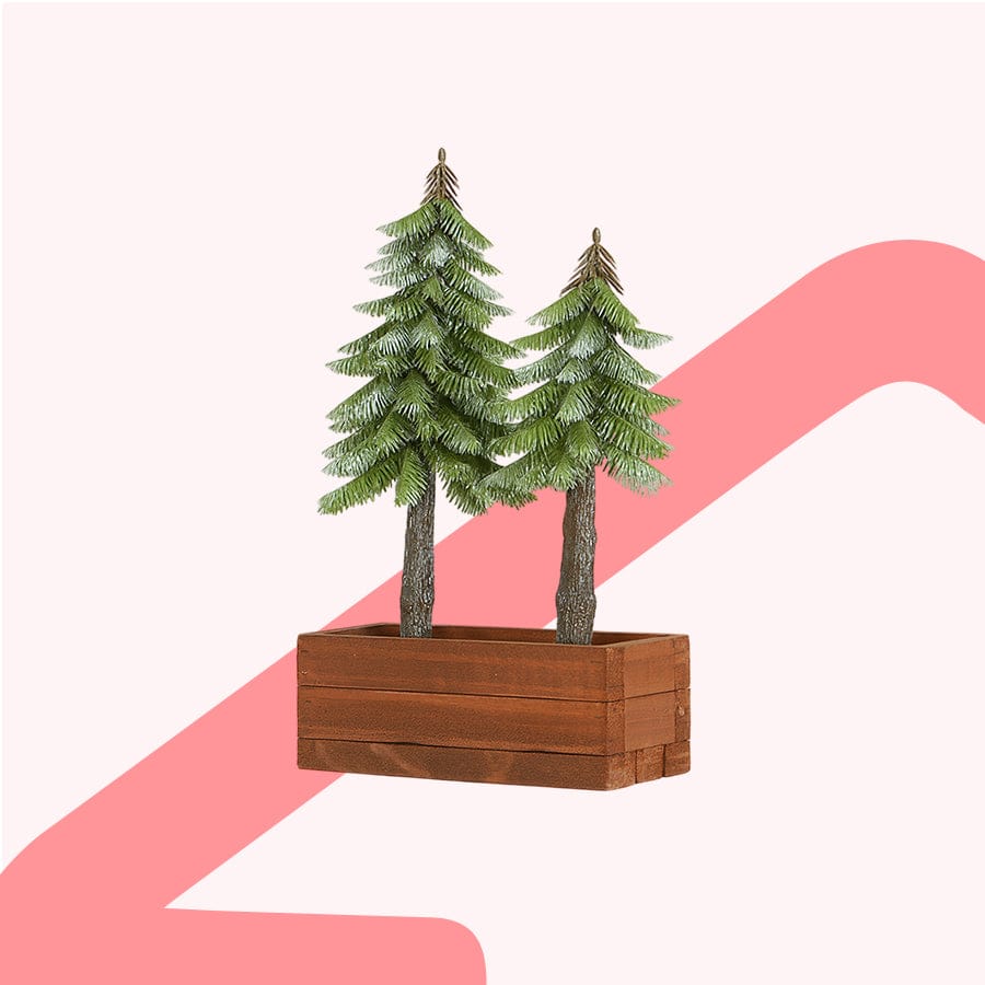 Foxtail Pine Table Top 41cm