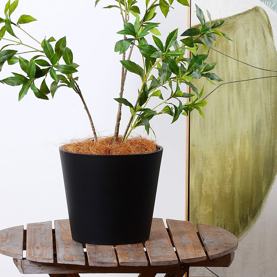 Fria Plastic Black Pot