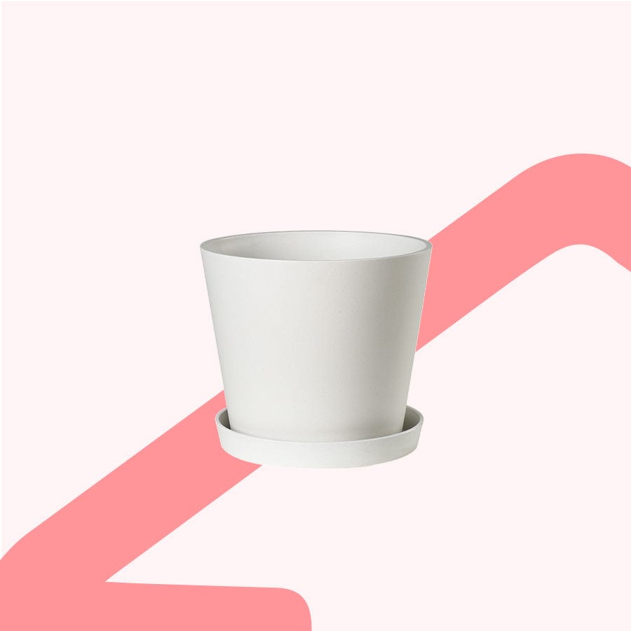 Fria Plastic White Pot