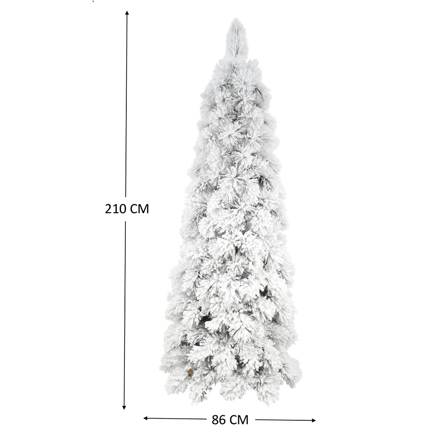 Frosted Scotch Pine Tree 7ft Frosted Scotch Pine Tree 7ft Mandaue Foam