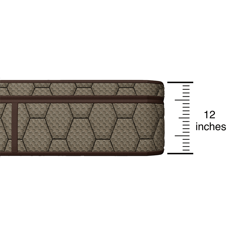 Gala Bed Premium Latex Spring Mattress Gala Bed Premium Latex Spring Mattress Mandaue Foam