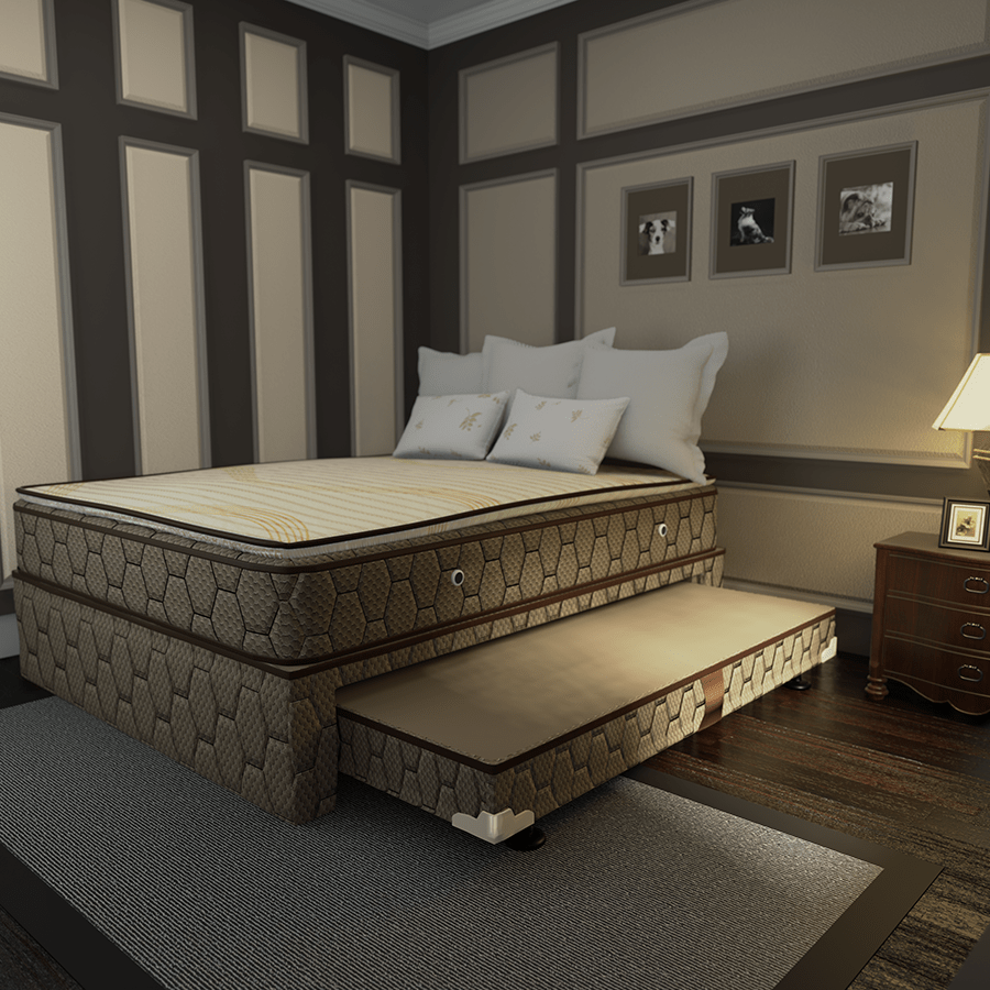 Gala Pull-Out Bed Box Gala Pull-Out Bed Box Mandaue Foam