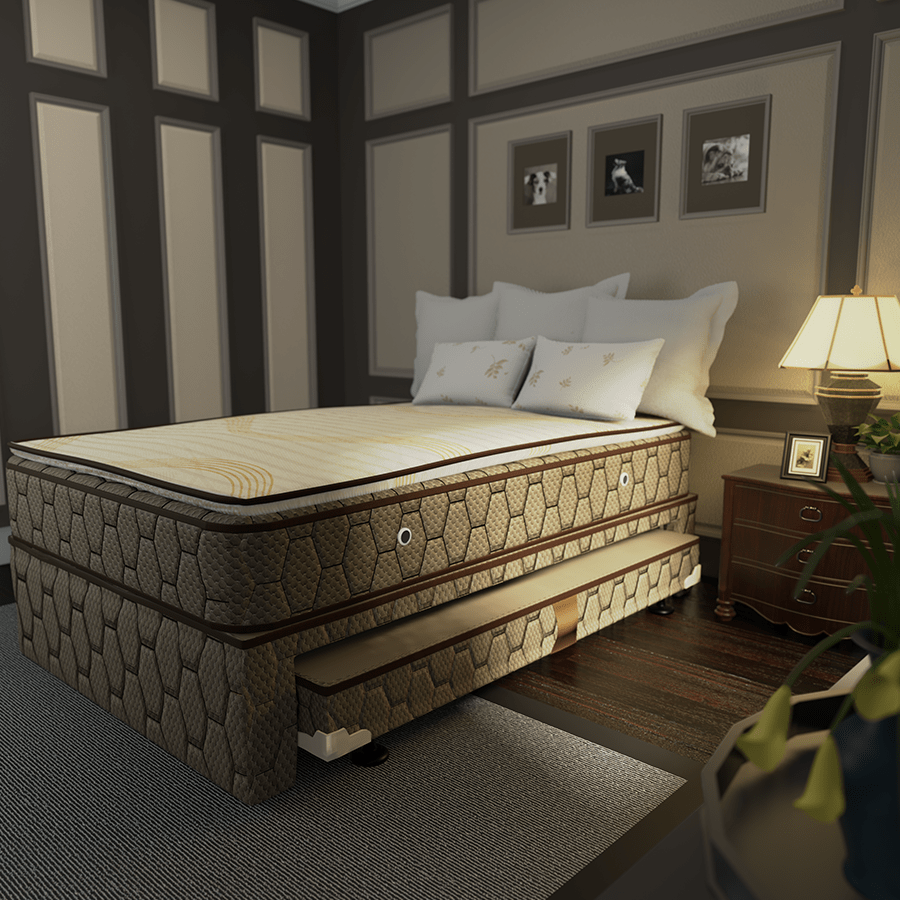 Gala Pull-Out Bed Box Gala Pull-Out Bed Box Mandaue Foam