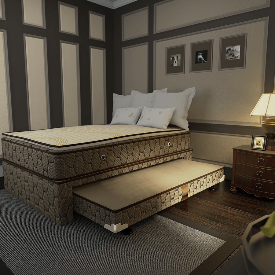 Gala Pull-Out Bed Box Gala Pull-Out Bed Box Mandaue Foam