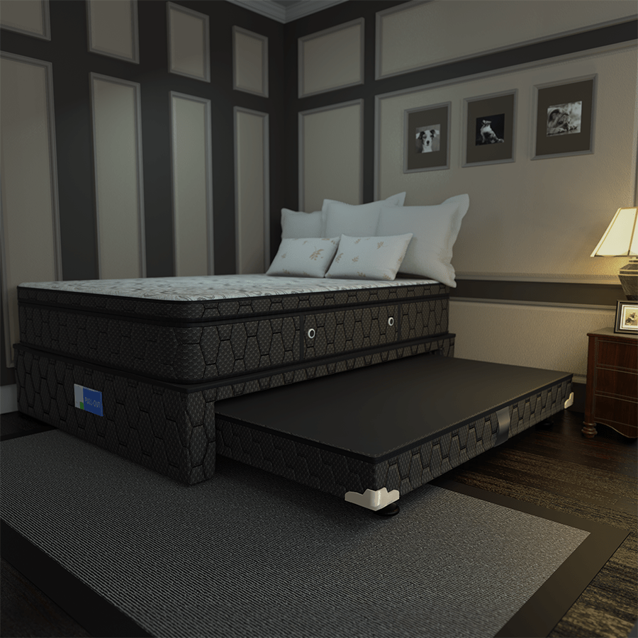 Gala Pull-Out Bed Box Gala Pull-Out Bed Box Mandaue Foam