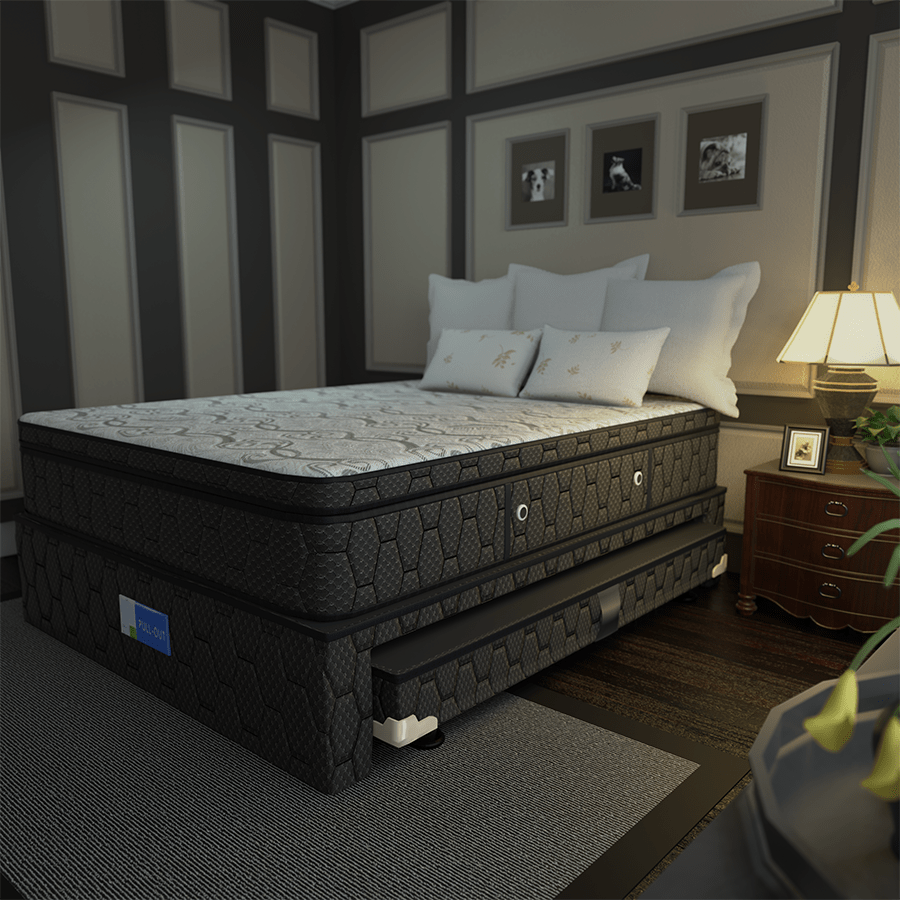 Gala Pull-Out Bed Box Gala Pull-Out Bed Box Mandaue Foam