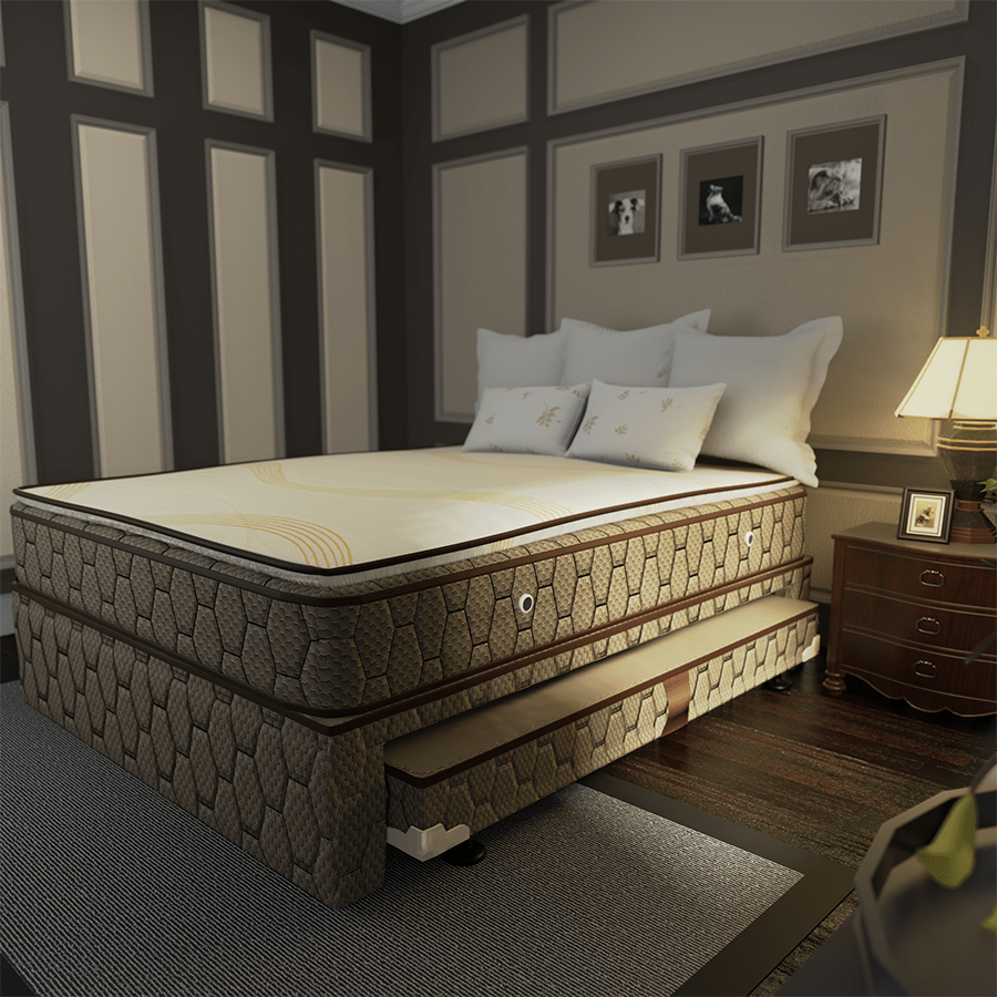 Gala Pull-Out Bed Box Gala Pull-Out Bed Box Mandaue Foam