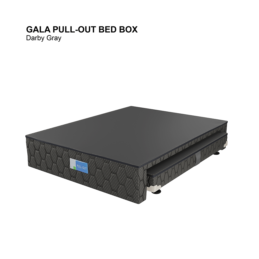 Gala Pull-Out Bed Box Gala Pull-Out Bed Box Darby Gray / Double 54x75 inches Mandaue Foam