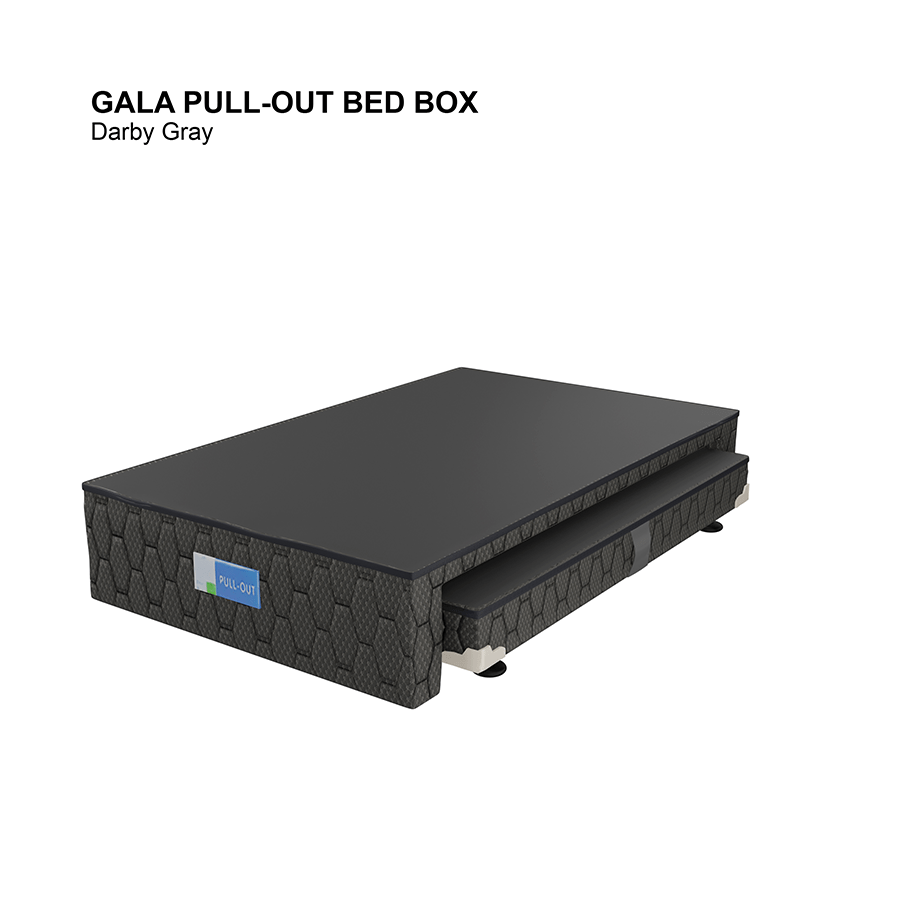 Gala Pull-Out Bed Box Gala Pull-Out Bed Box Darby Gray / Twin 39x75 inches Mandaue Foam