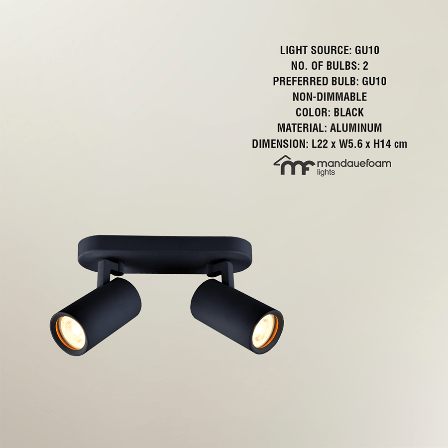 MORE HAKE OPTIONS Hake 2-light Spotlight Hake 2-light Spotlight Black Mandaue Foam