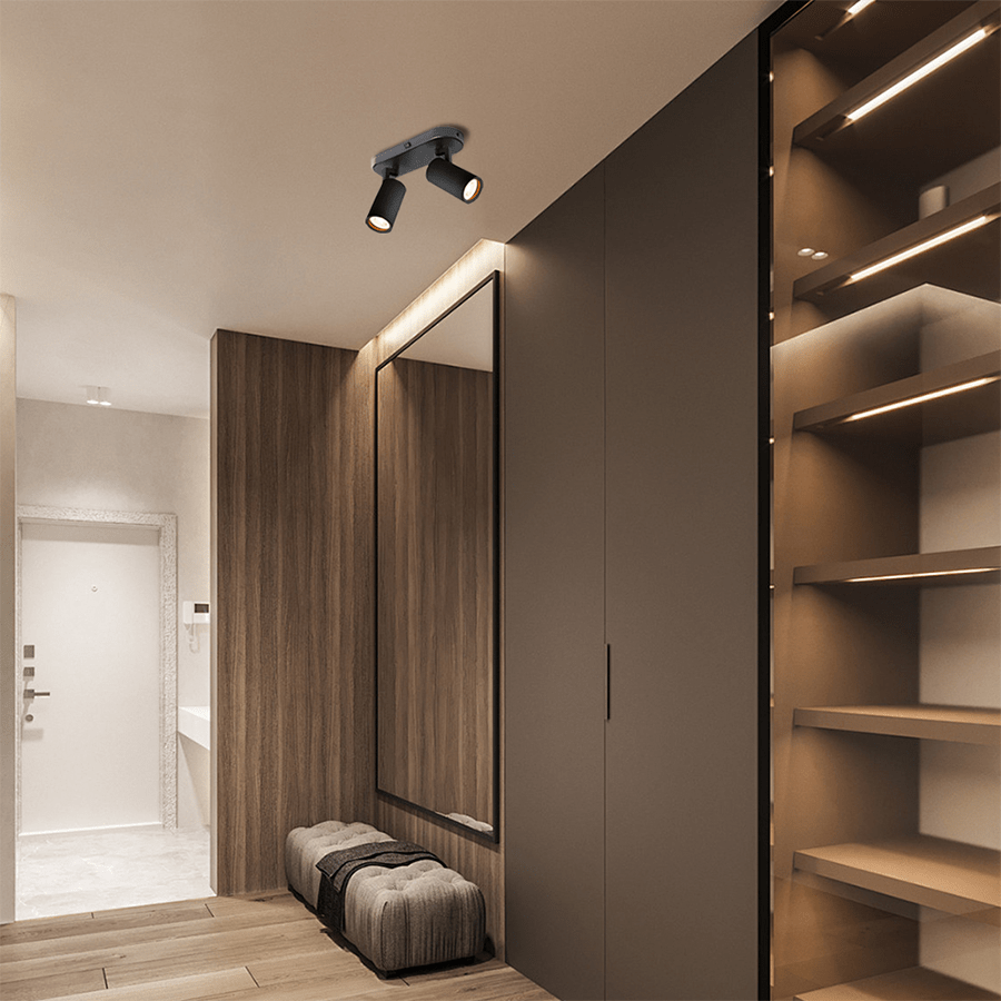 MORE HAKE OPTIONS Hake 2-light Spotlight Hake 2-light Spotlight Black Mandaue Foam