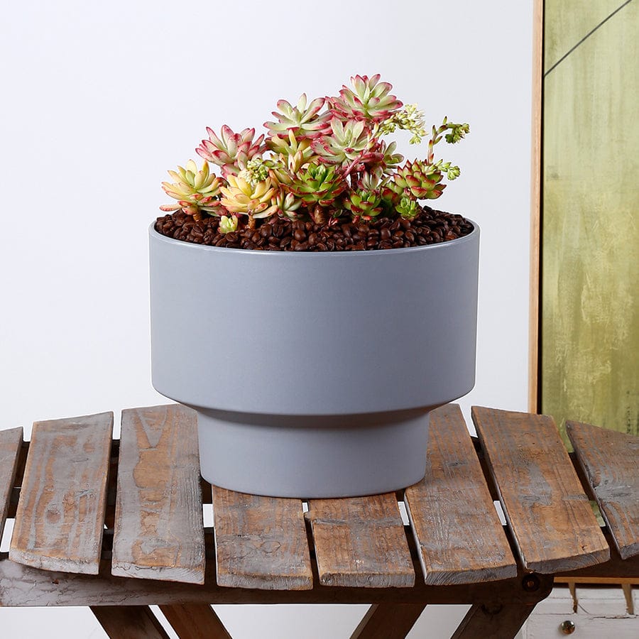 Hallie Plastic Dark Gray Pot