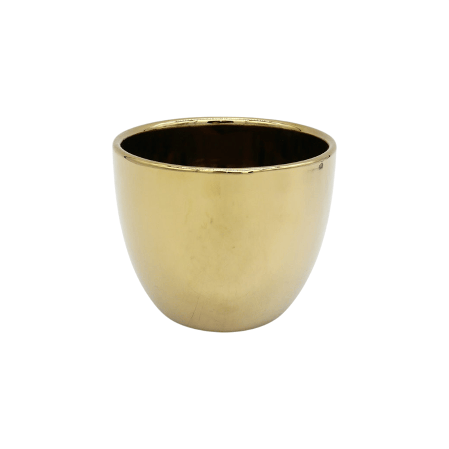 Hasami Ceramic Pot