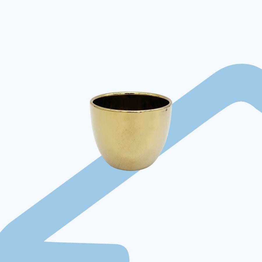 Hasami Ceramic Pot
