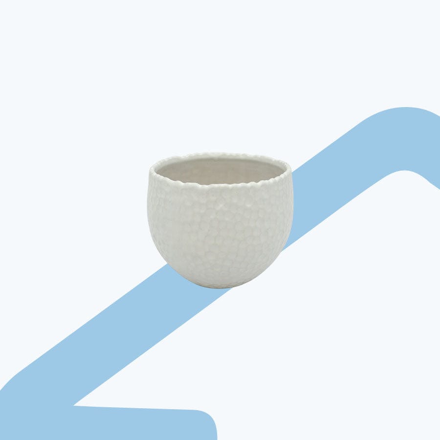 Iwami Ceramic Pot