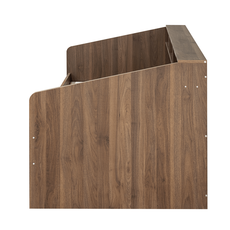 Larisa Daybed with Drawer Larisa Daybed with Drawer Mandaue Foam