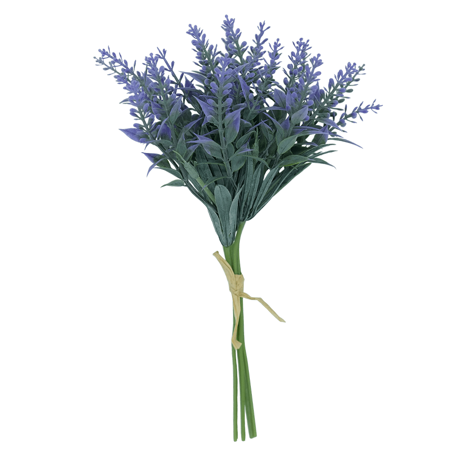 Lavender Bush Lavender Bush Mandaue Foam