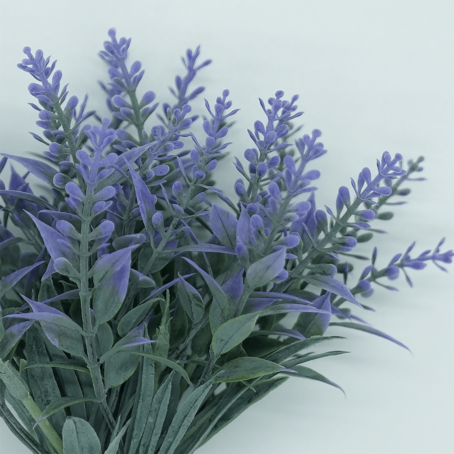 Lavender Bush Lavender Bush Mandaue Foam