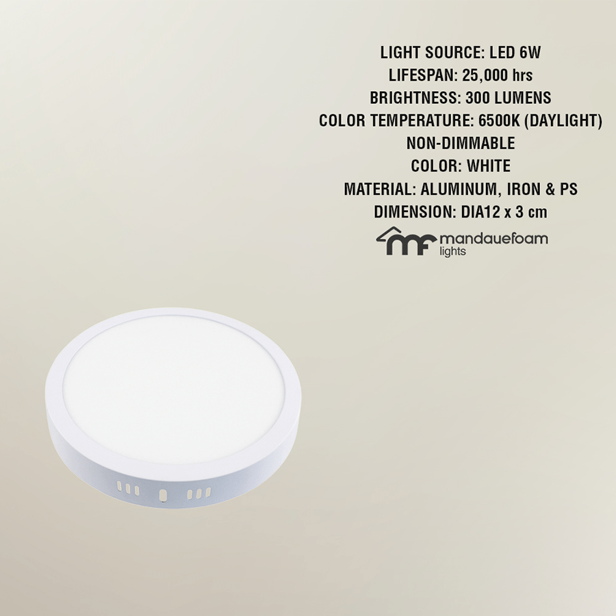 LED Surface Circle Mount Daylight LED Surface Circle Mount Daylight Mandaue Foam