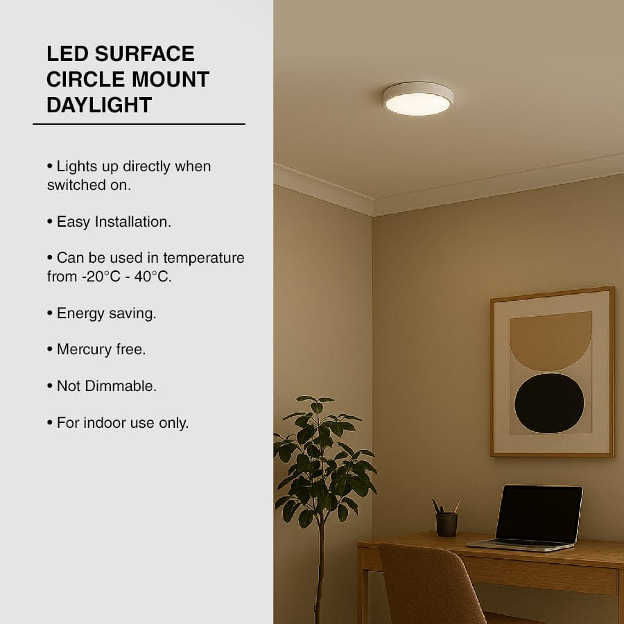 LED Surface Circle Mount Daylight