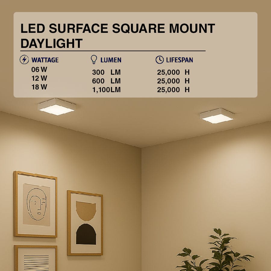 LED Surface Square Mount Daylight