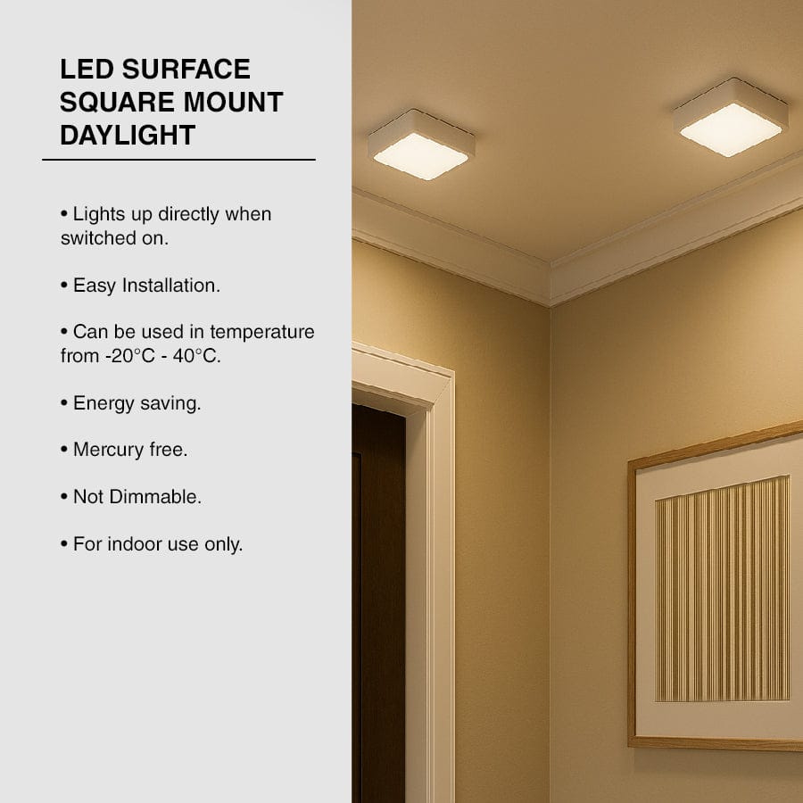 LED Surface Square Mount Daylight