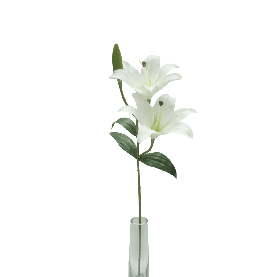 Lilium White Single Flower Lilium White Single Flower Mandaue Foam