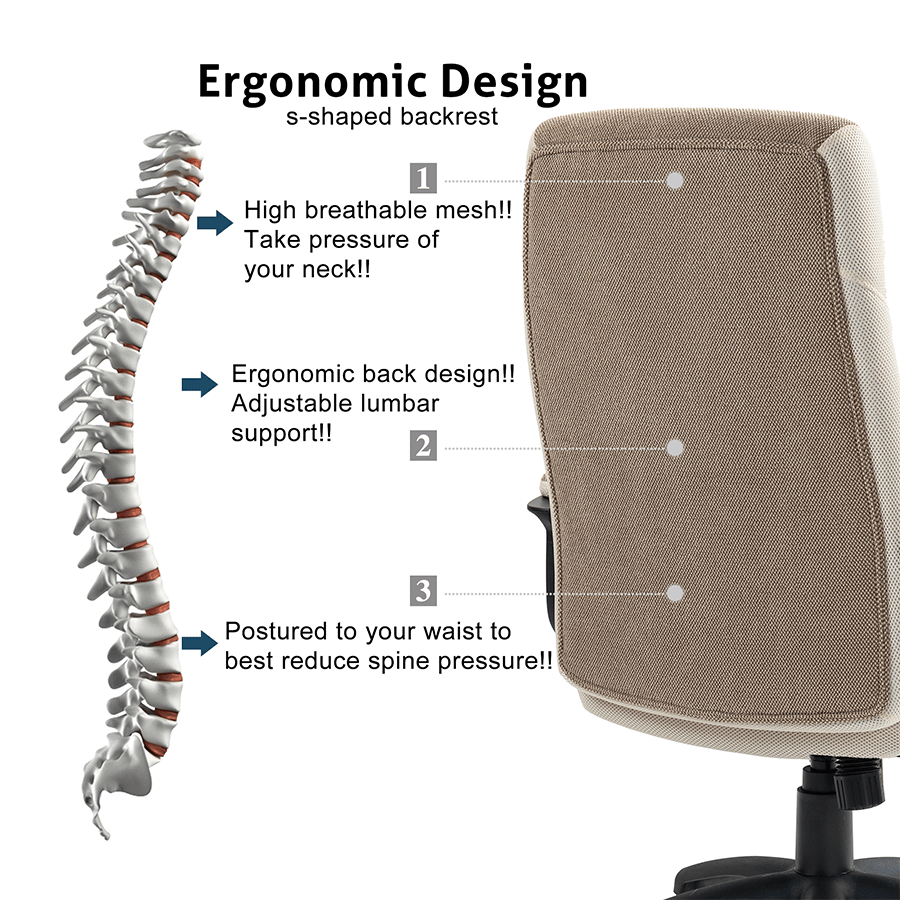 Llamar High Back Office Chair