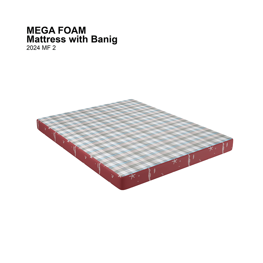 Mega Banig Mattress Mega Banig Mattress Mandaue Foam