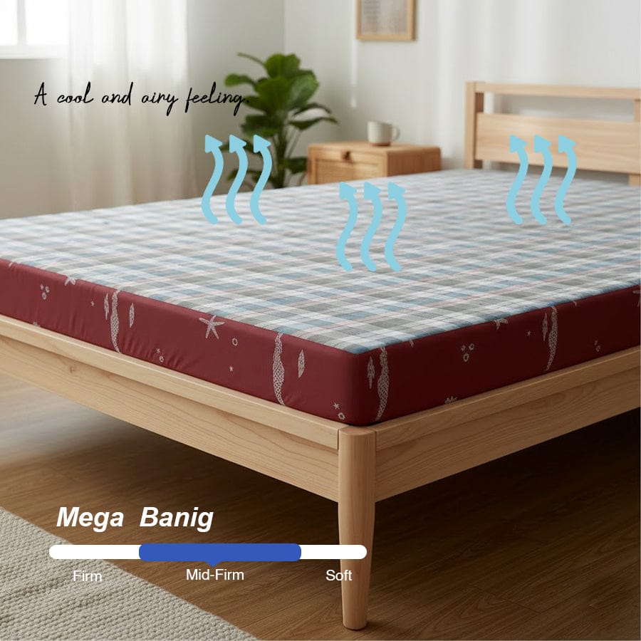 Mega Banig Mattress