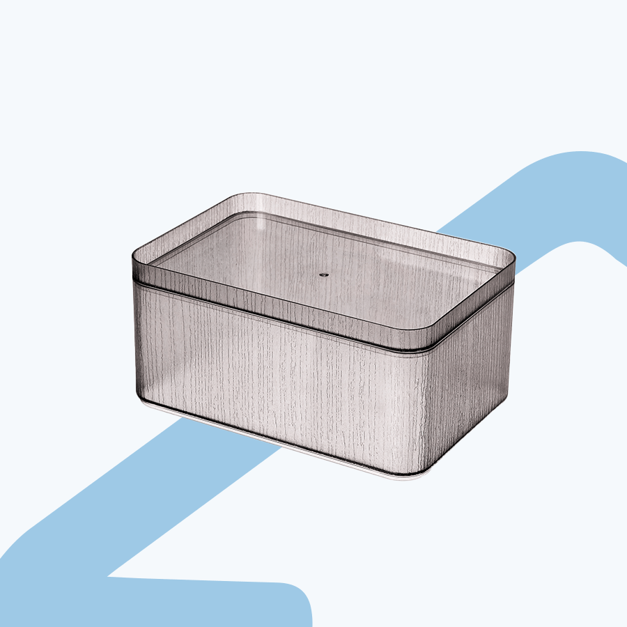 Mondo 22x10.5 cm Box with Lid