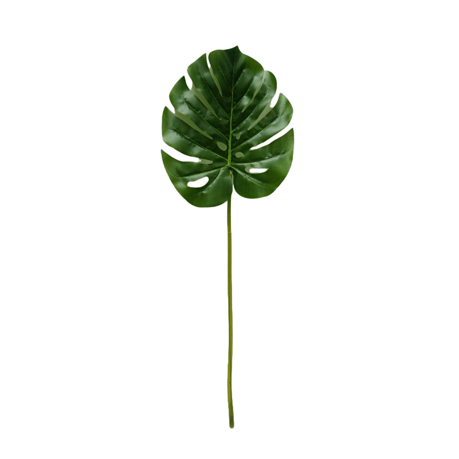 Monstera Single Leaf Monstera Single Leaf Mandaue Foam