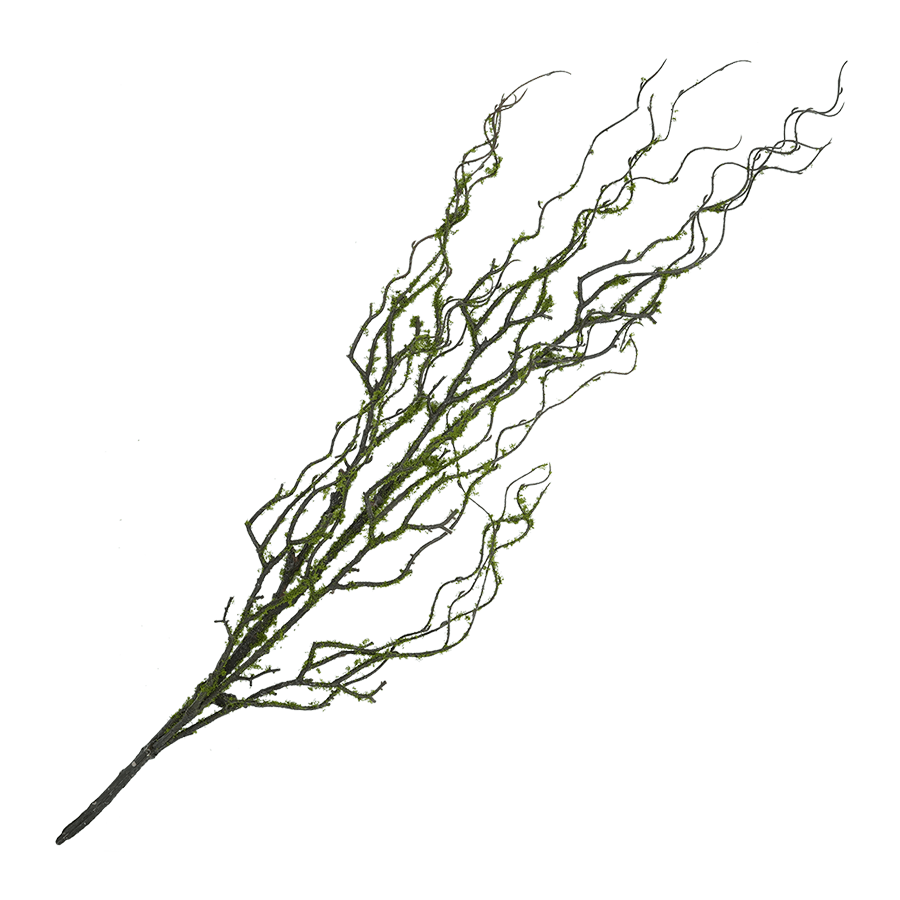 Moss Twigs Moss Twigs Mandaue Foam