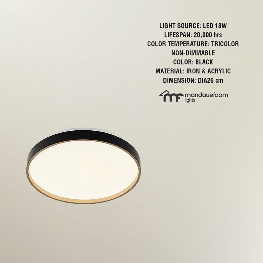 Peton Flush Mount Light Peton Flush Mount Light Mandaue Foam