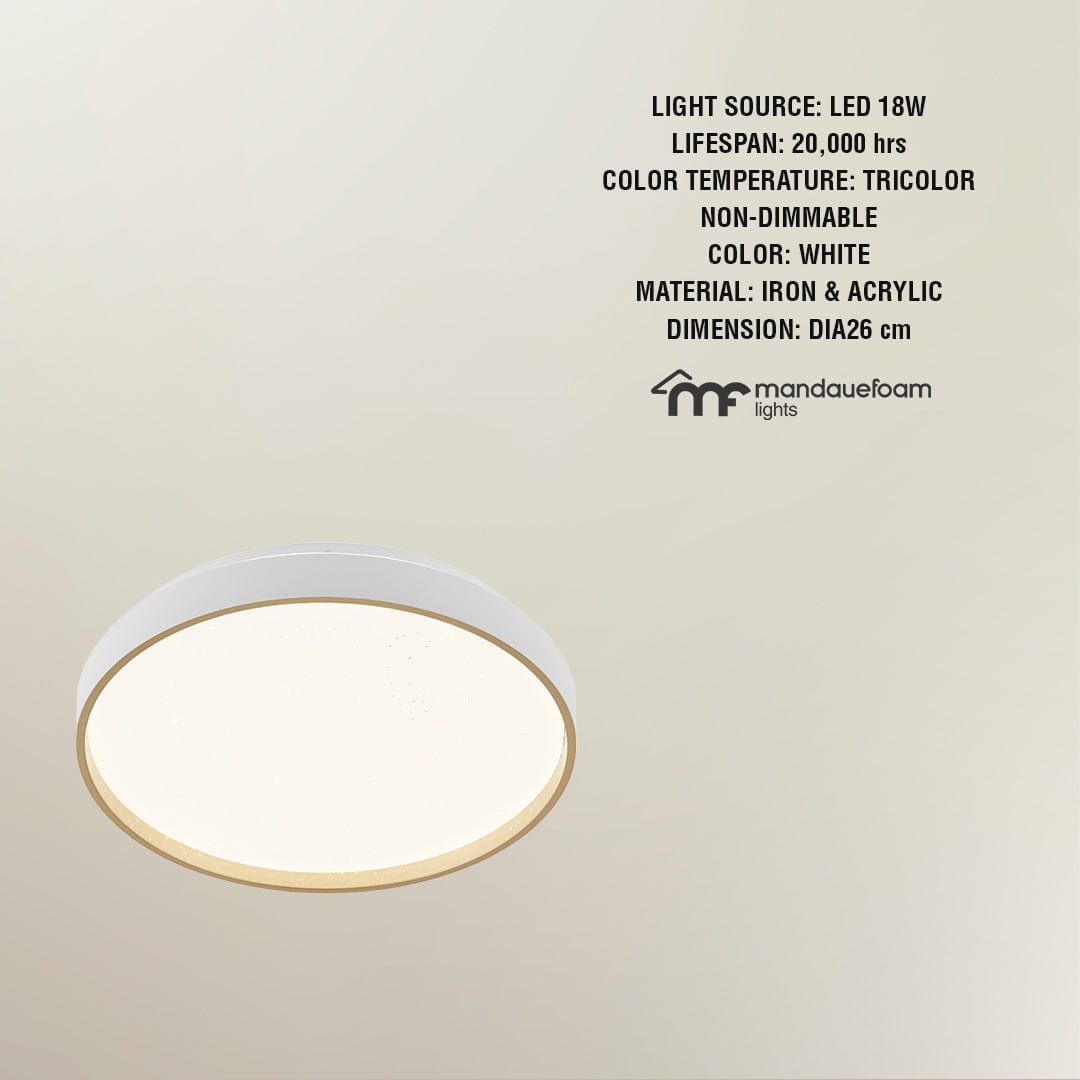 Peton Flush Mount Light Peton Flush Mount Light Mandaue Foam
