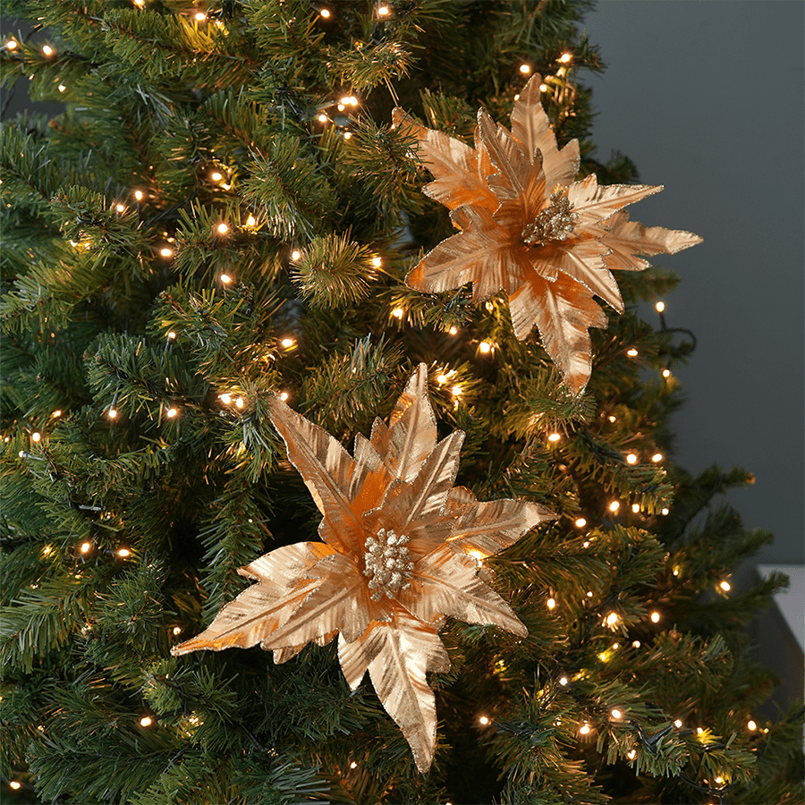 Poinsettia Poinsettia Mandaue Foam