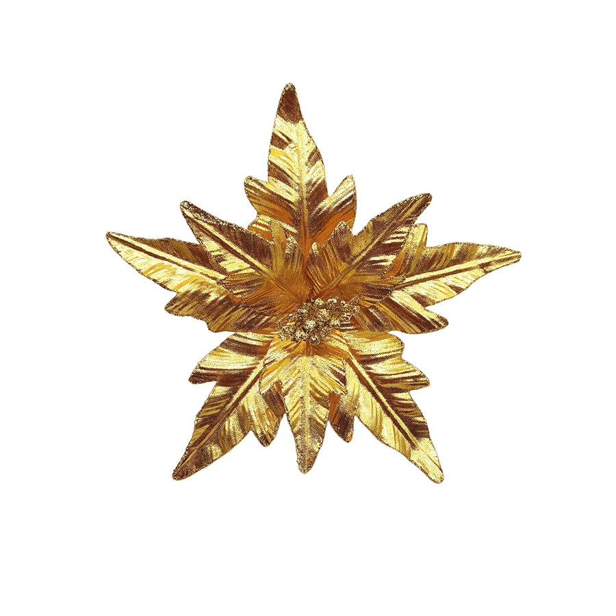 Poinsettia Poinsettia Gold Mandaue Foam