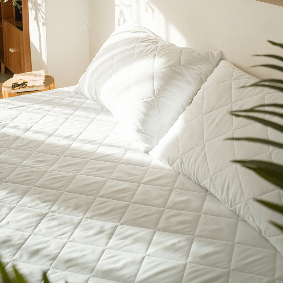 Quilted Pillow Protector Quilted Pillow Protector Mandaue Foam