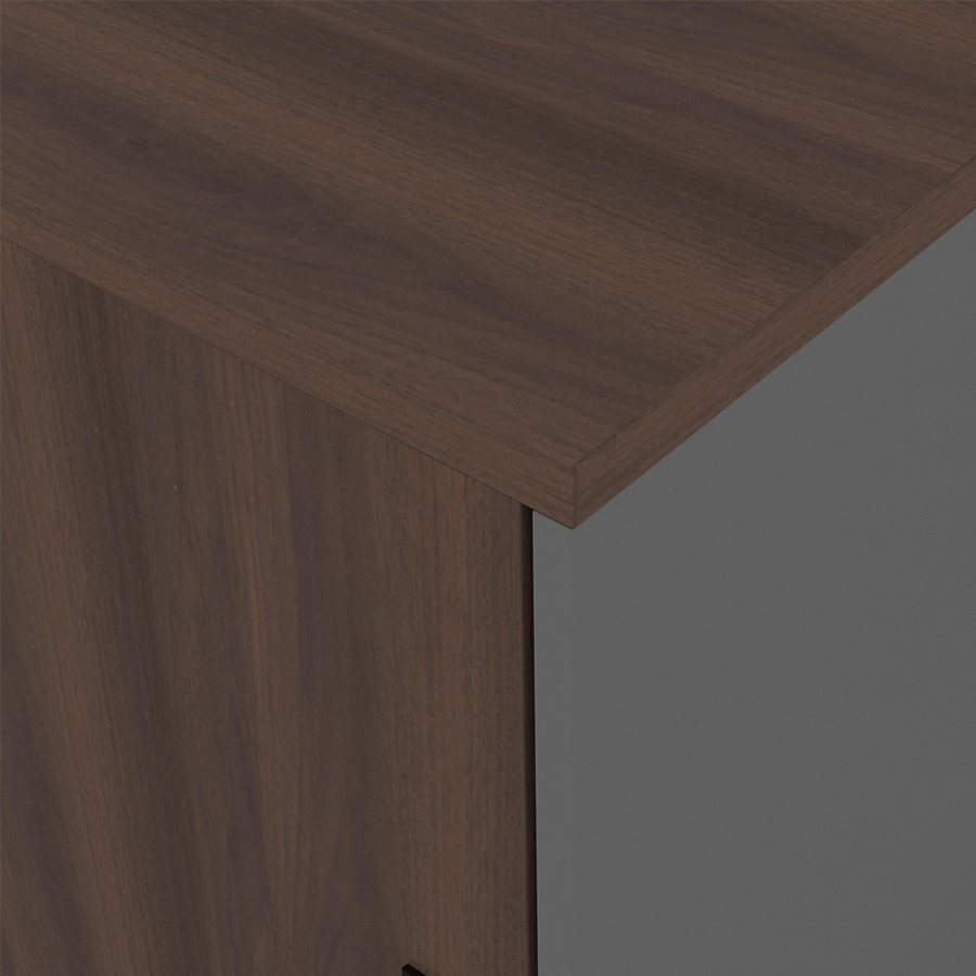 MORE ROLLINS OPTIONS Rollins Low Sliding Cabinet Rollins Low Sliding Cabinet Mandaue Foam