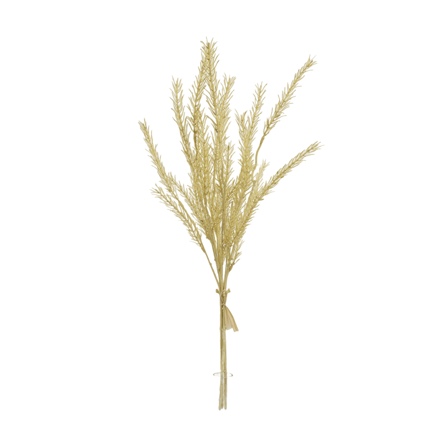 Rosemary Bunch Dried Rosemary Bunch Dried Mandaue Foam