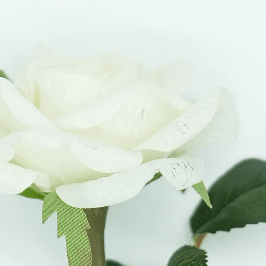 Rosette White Rosette White Mandaue Foam