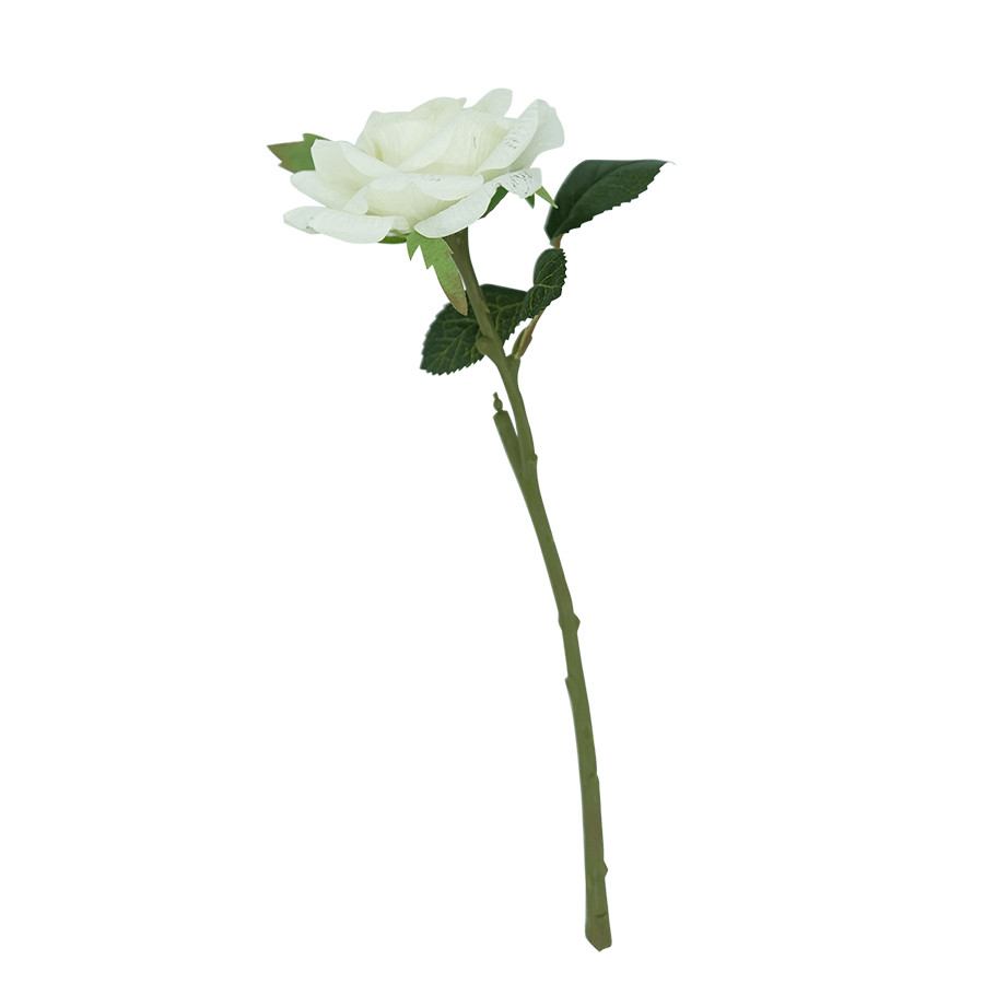 Rosette White Rosette White Mandaue Foam