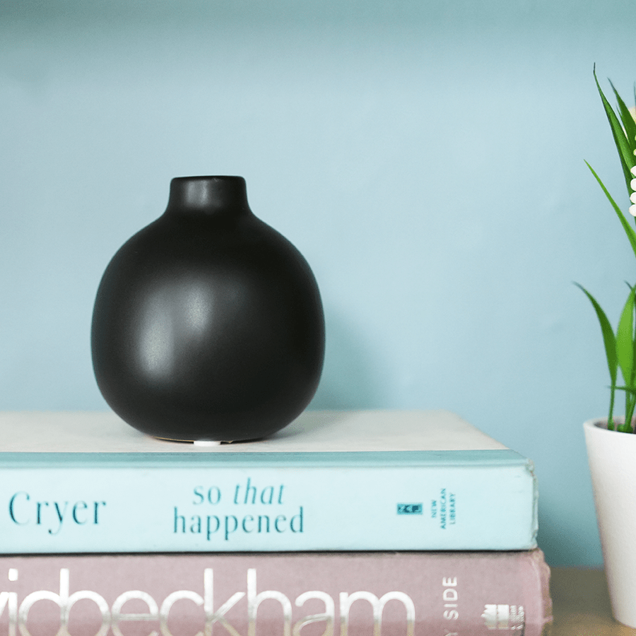 Royal Black Ceramic Vase Royal Black Ceramic Vase Mandaue Foam