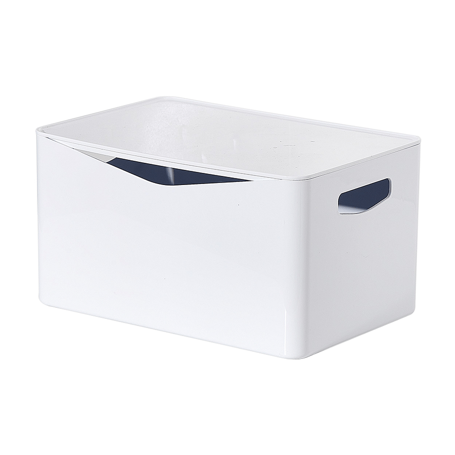 MORE TEJ OPTIONS Tej Multi-storage Box with Lid Tej Multi-storage Box with Lid 25x17x13.5 cm Mandaue Foam