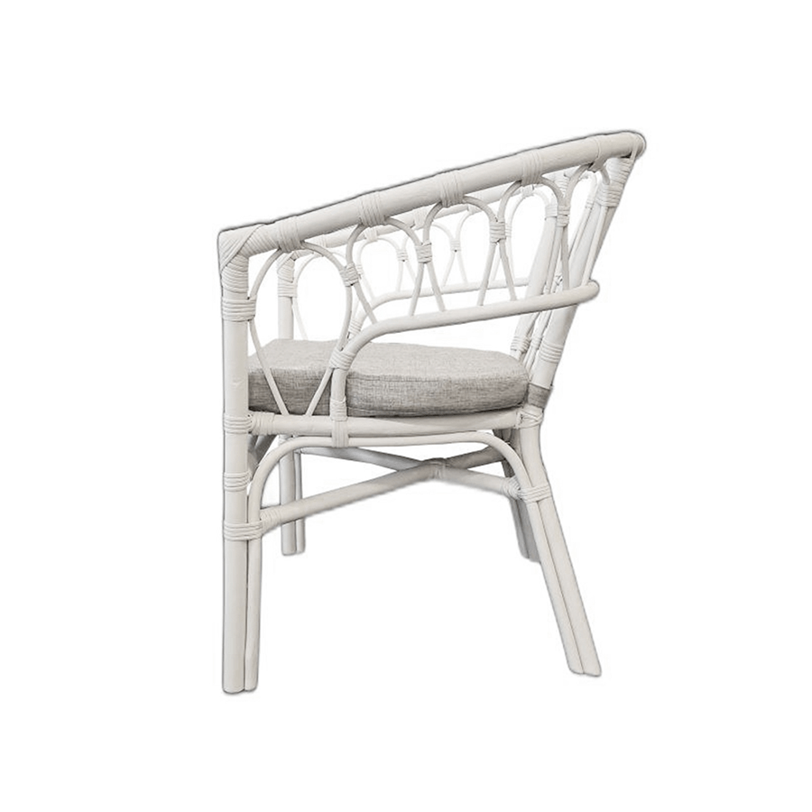 #color_White + Light Gray