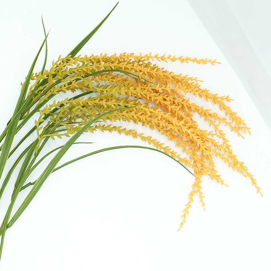 Wheatgrass Wheatgrass Mandaue Foam