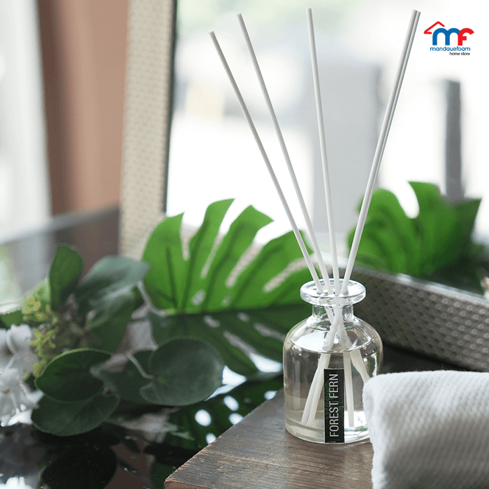 Reed Diffuser 100ml - Forest Fern