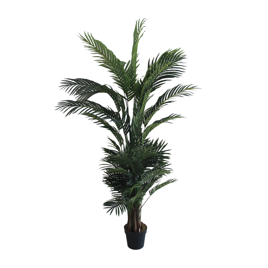 Palm Tree Potted Plant 180 cm