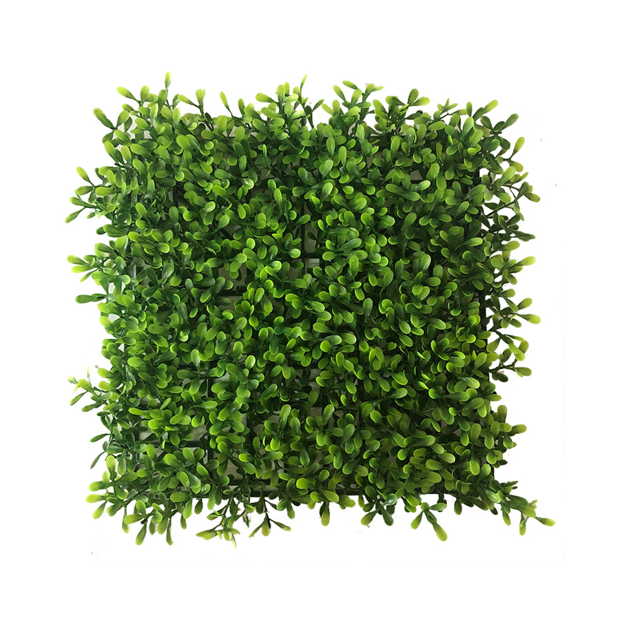 Arachis Grass Tile 25 cm